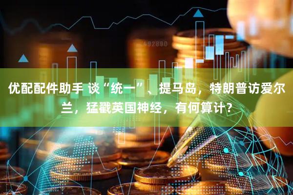 优配配件助手 谈“统一”、提马岛，特朗普访爱尔兰，猛戳英国神经，有何算计？