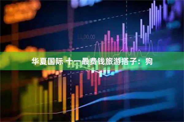 华夏国际 十一最费钱旅游搭子：狗